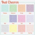 Ikat Chevron iPhone/iPod To..